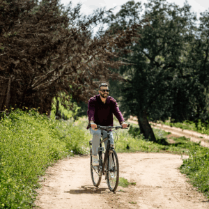 In bici nel bosco