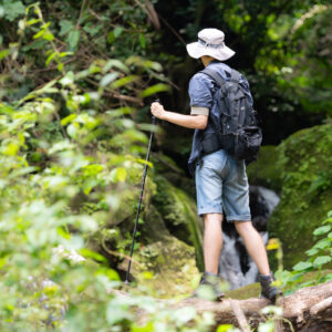 Trekking nel bosco